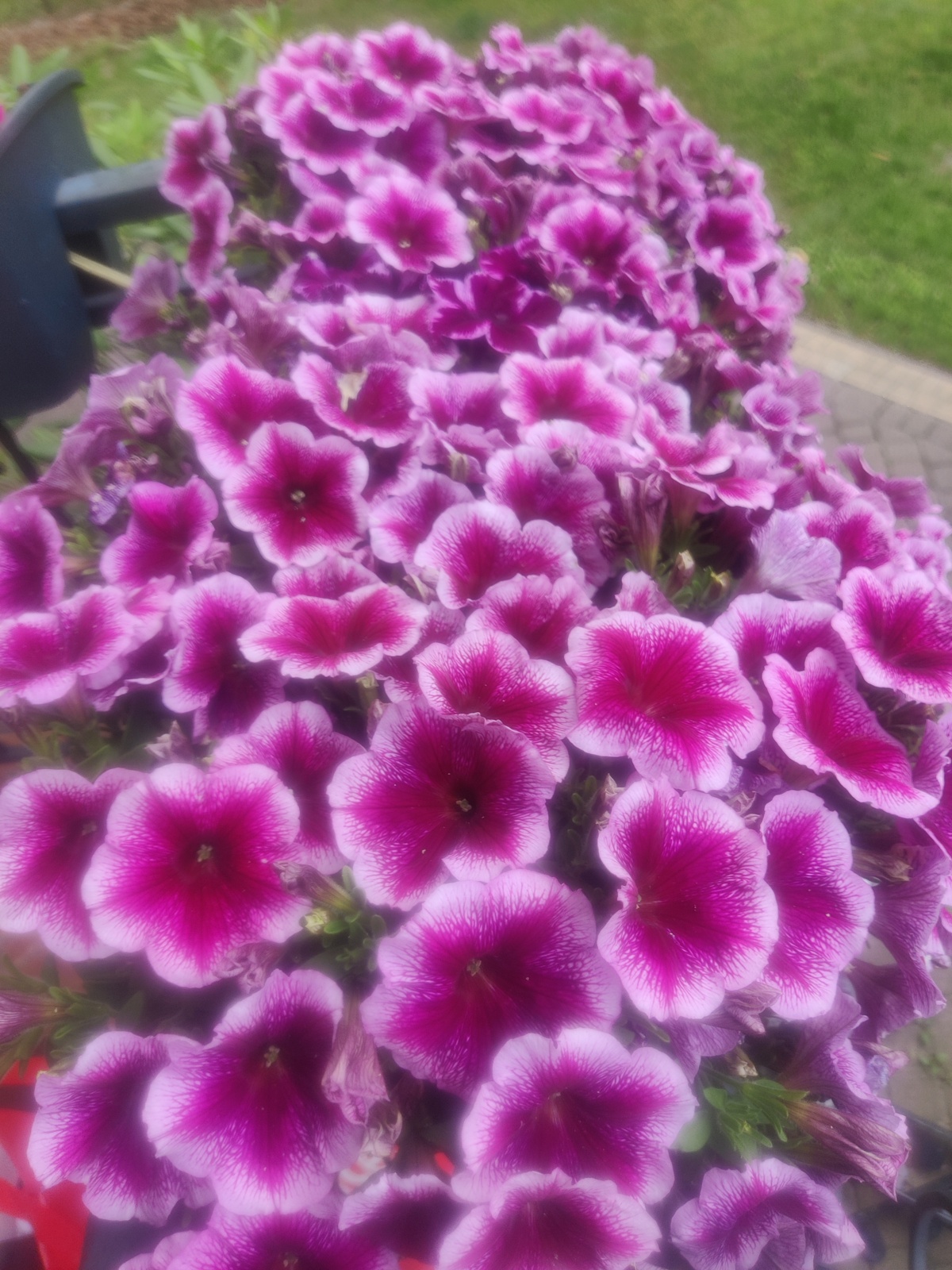 d14a1e03-677c-4215-8d97-8feb754bbc68