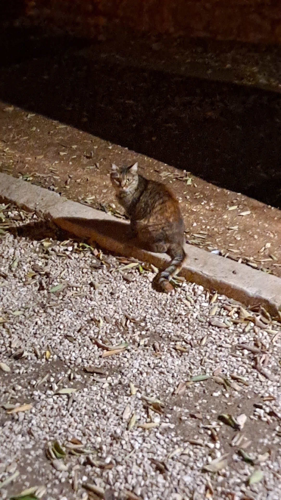 5f559a08-7fc5-4a2e-9707-c8c29fb3a0d6