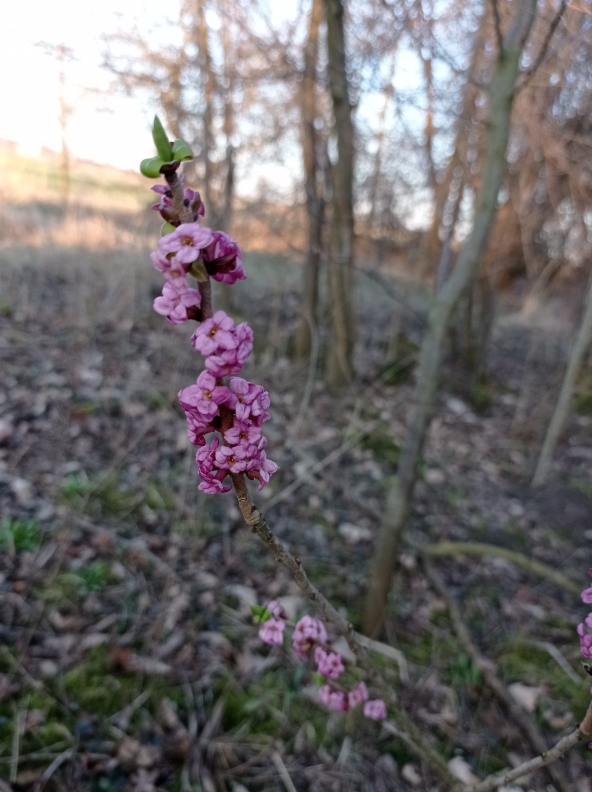 f6962bc3-c007-42d4-95c5-a3d79bad72c5