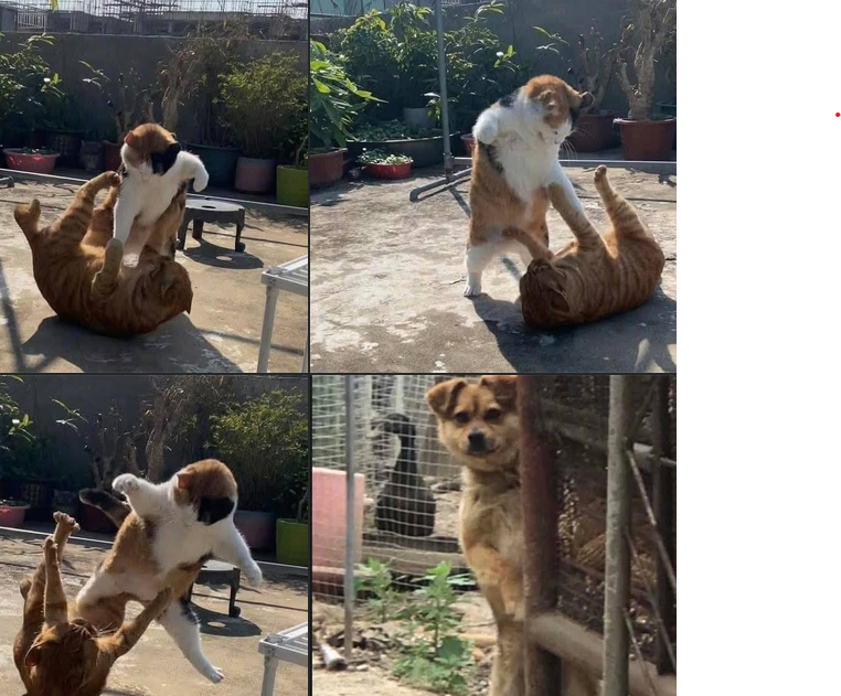 e17ec149-201f-4442-9754-584f2b259aab