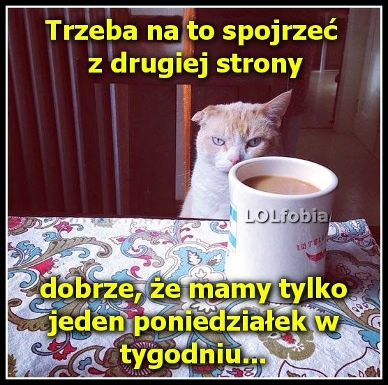 d5d04b1c-8779-4bb7-a38a-01451aef06d4