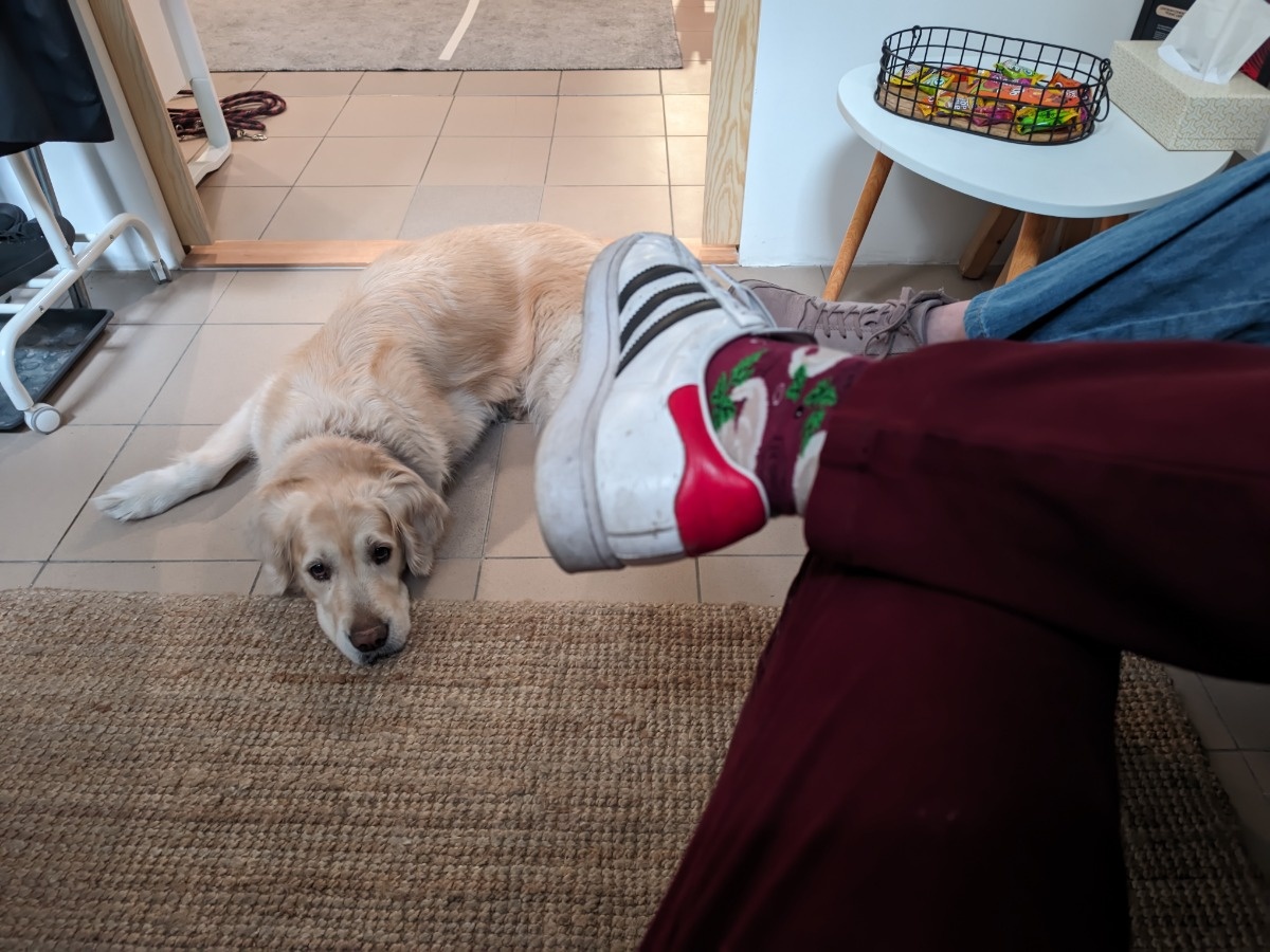 7178ecca-b86b-47bf-a37b-6e9f497a3c28