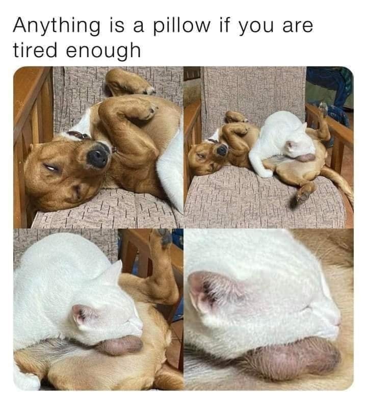 4d862fba-22fa-4df0-8a21-d4fa1c5f417c