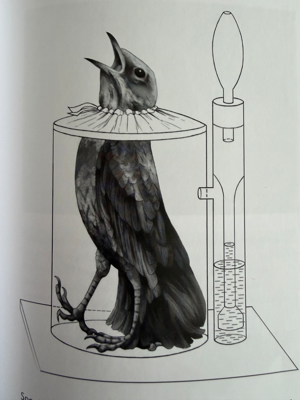 6a6392e2-f2ff-40fa-a5e4-2b43a613fa91