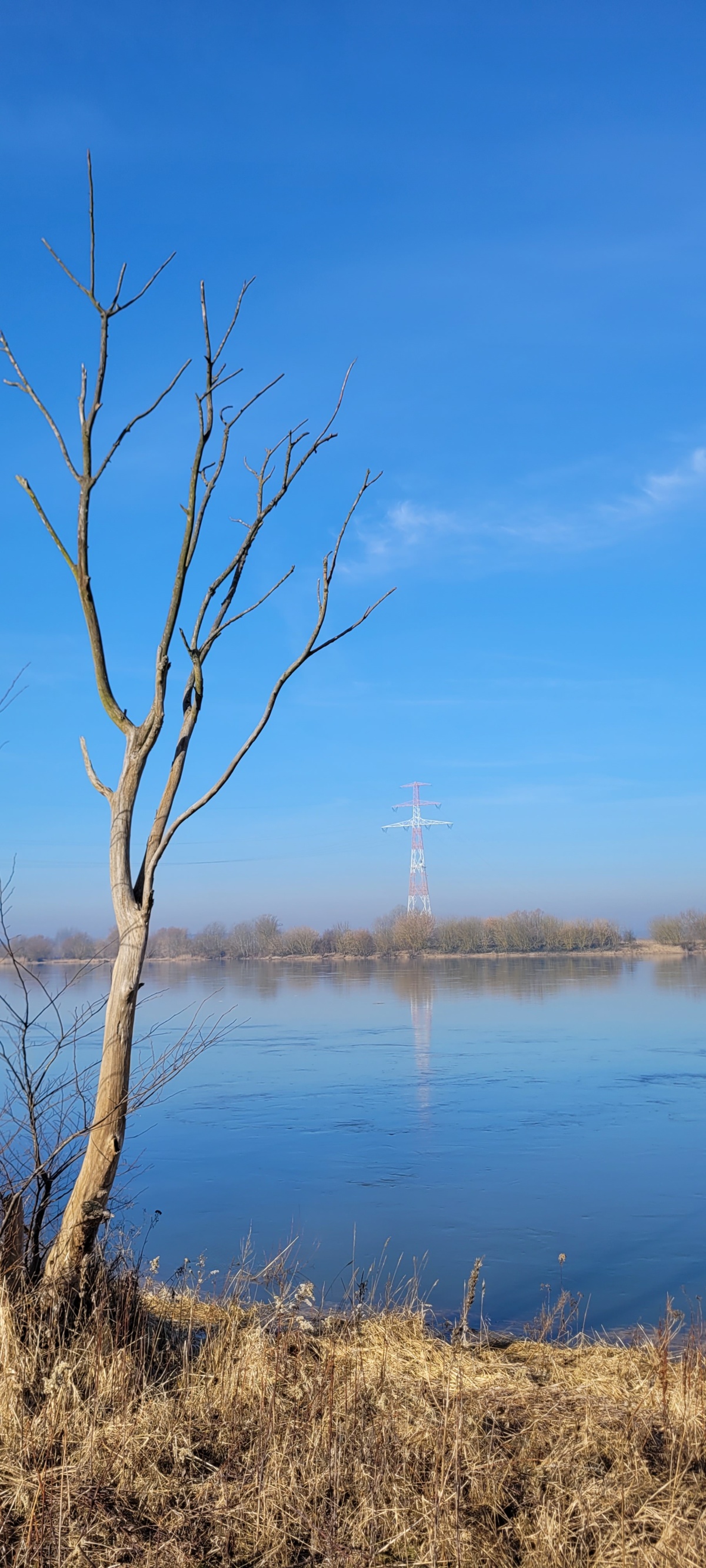 a63efc9d-39d1-4758-a433-39ce23ae3cd3