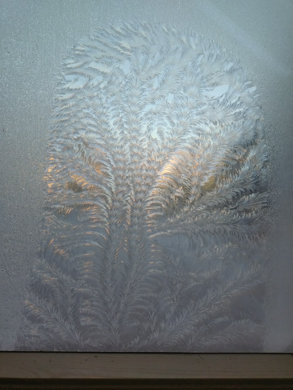 f0eef928-7522-4b9a-a1ac-c0ab0e950528