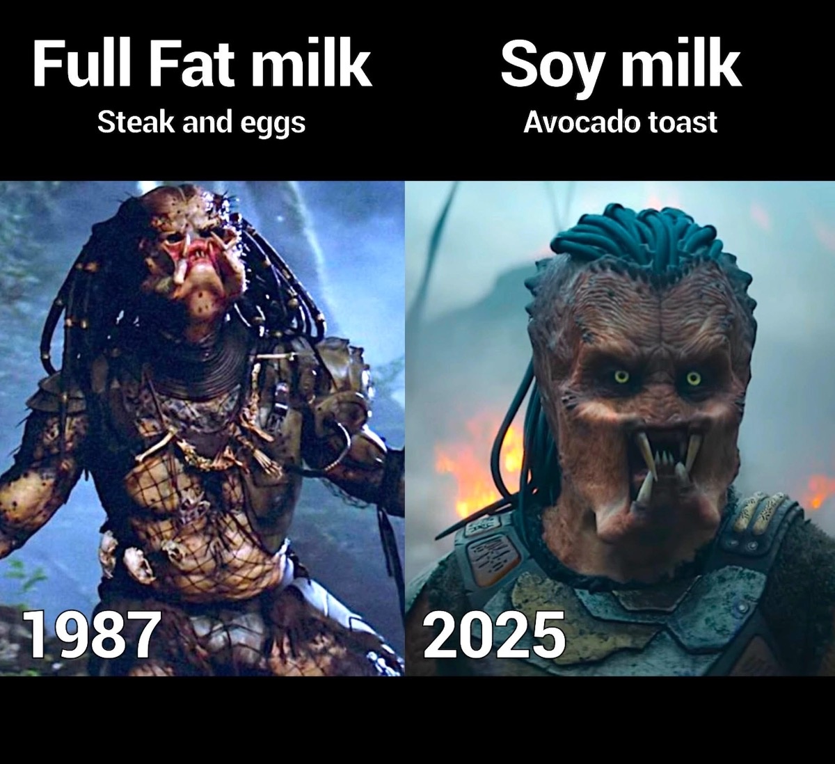 3c62a286-a702-46b3-b995-f6c5d4e00e1e