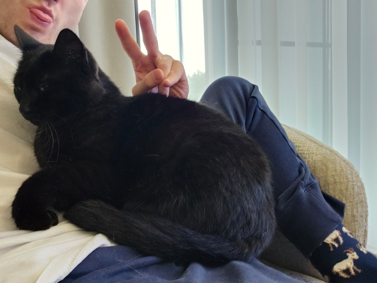 431aa89d-ec75-4643-92a5-b83bf8918169