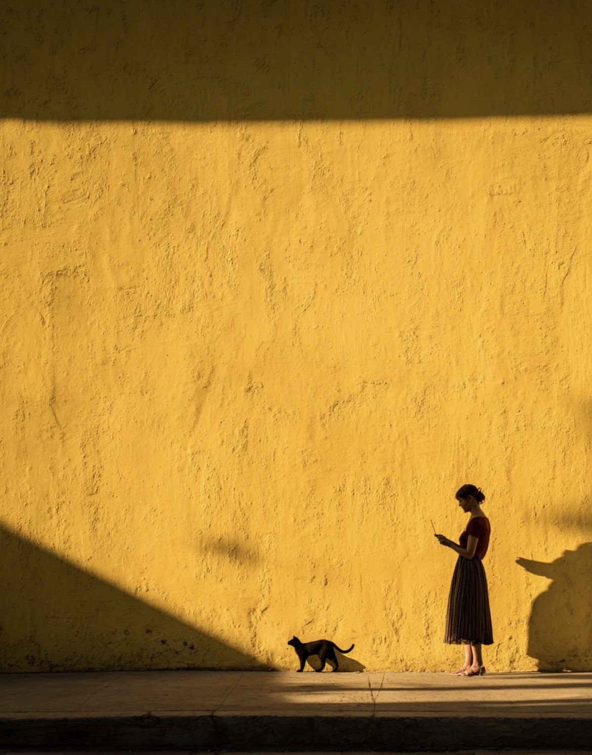 cfb2ce96-ce81-44f8-8a3c-107cf8d799d1