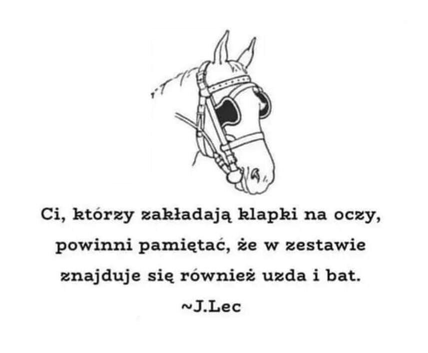 02381809-373e-419b-89f5-a8ec8aa95971