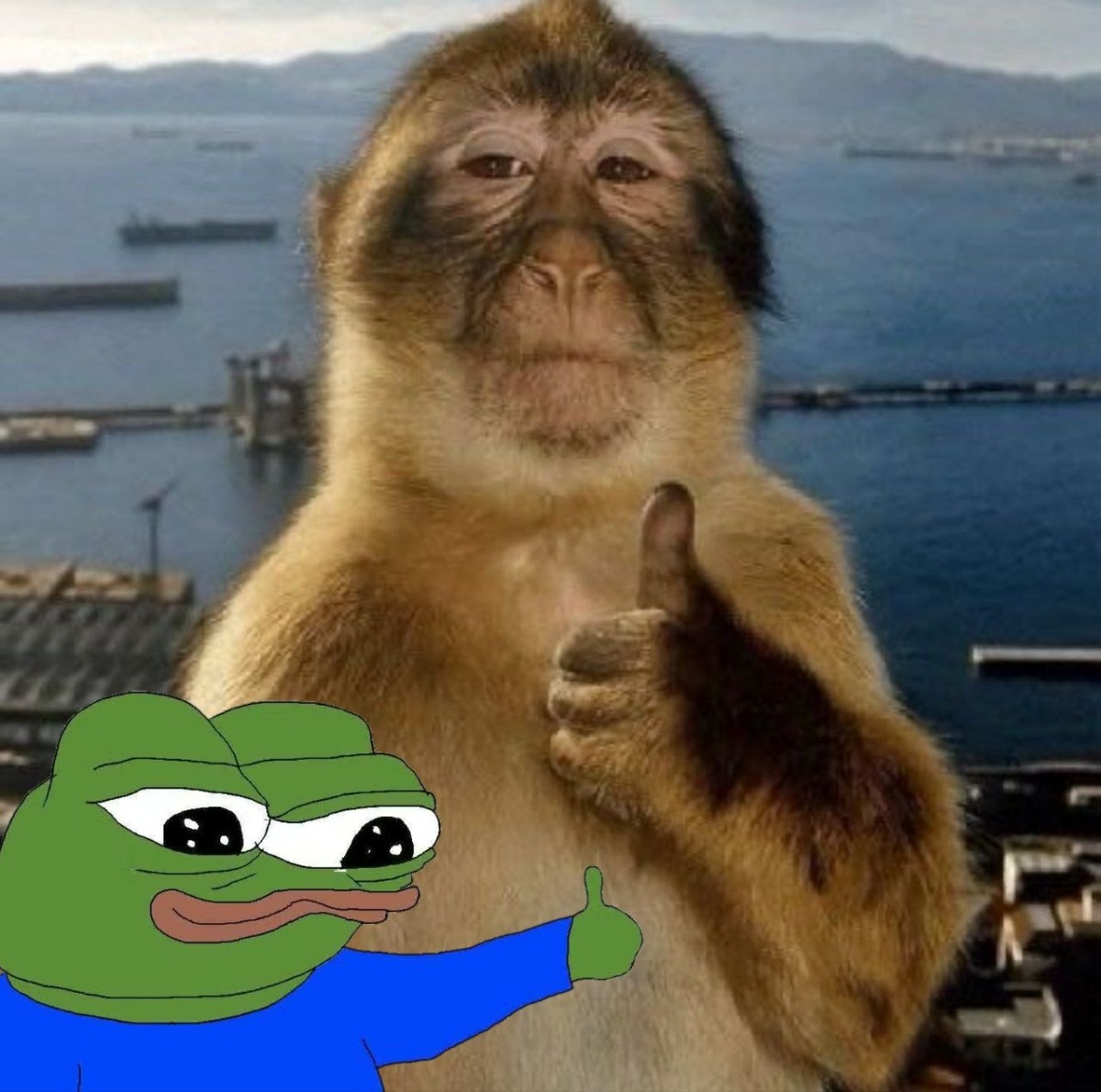 fe0fd1e1-a3e2-4775-97bc-64e8267ea16b