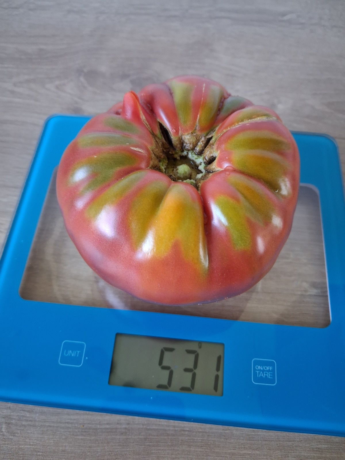 32e15d6d-27f4-45bf-b981-1a814f23f6a2