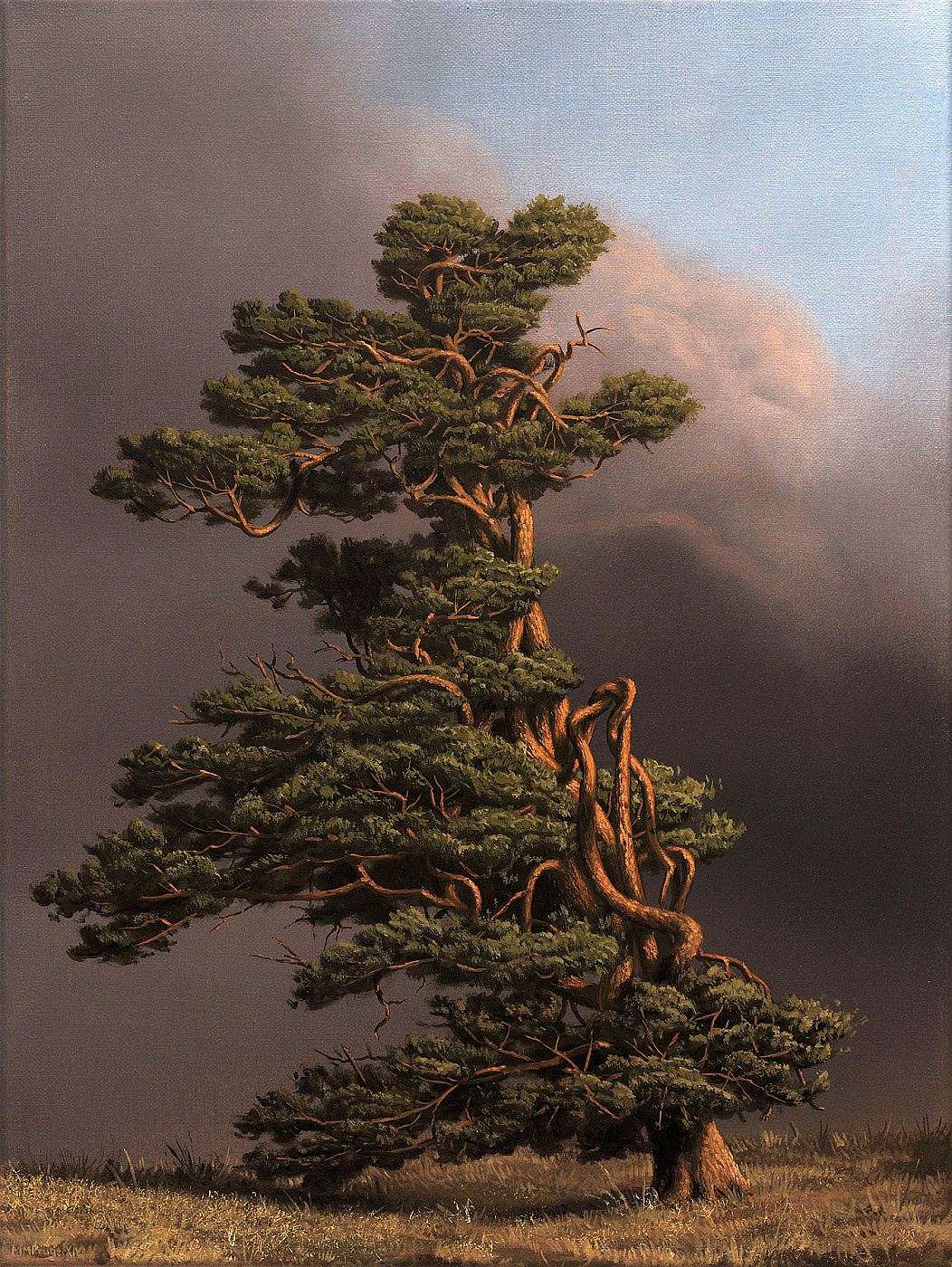 9dec7570-bdec-4de0-87b1-eb76494cf8c7