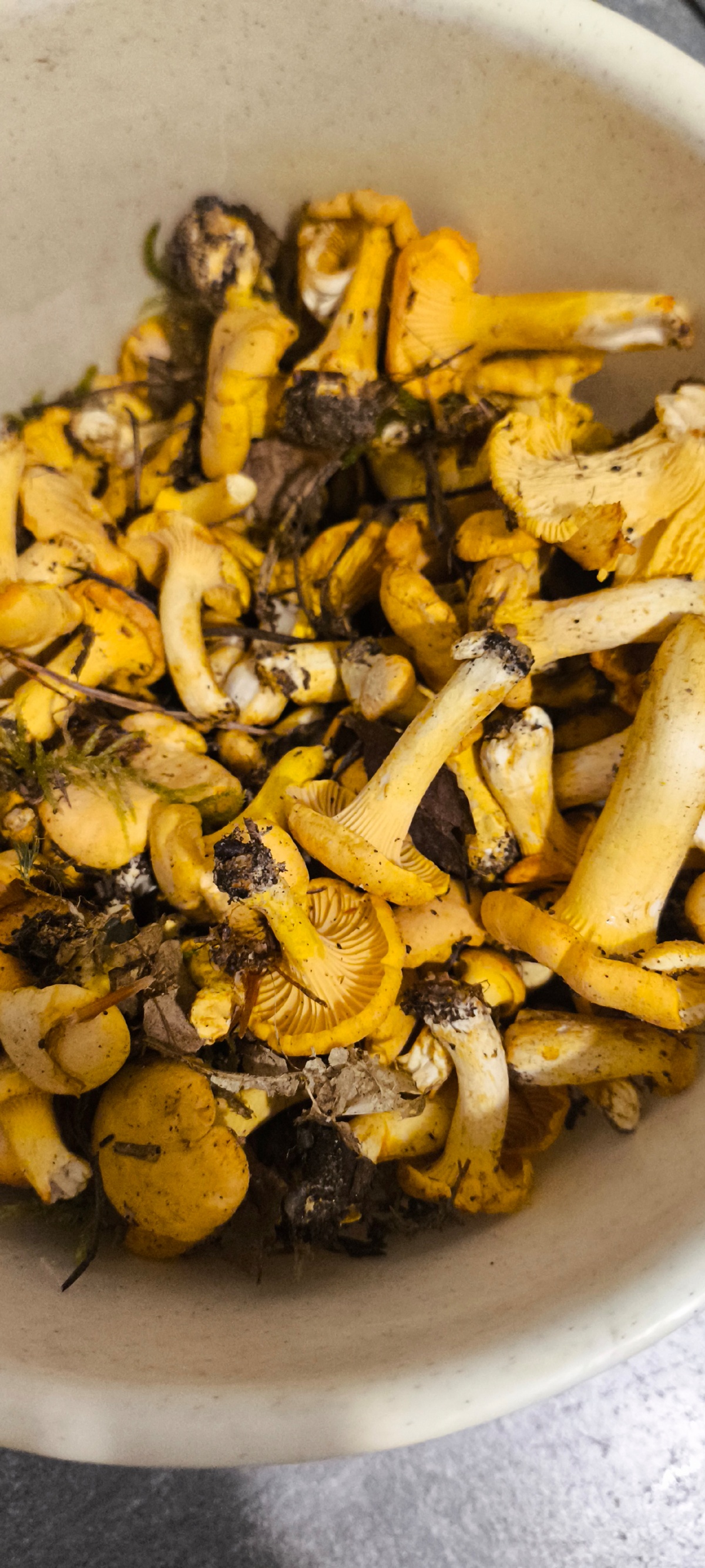 ef10461f-9518-452f-964d-43e5cc49478c