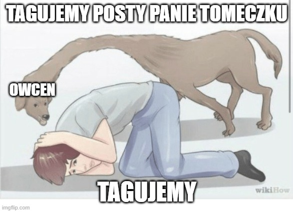 0ff0201e-eca0-4011-91fe-274076244f04