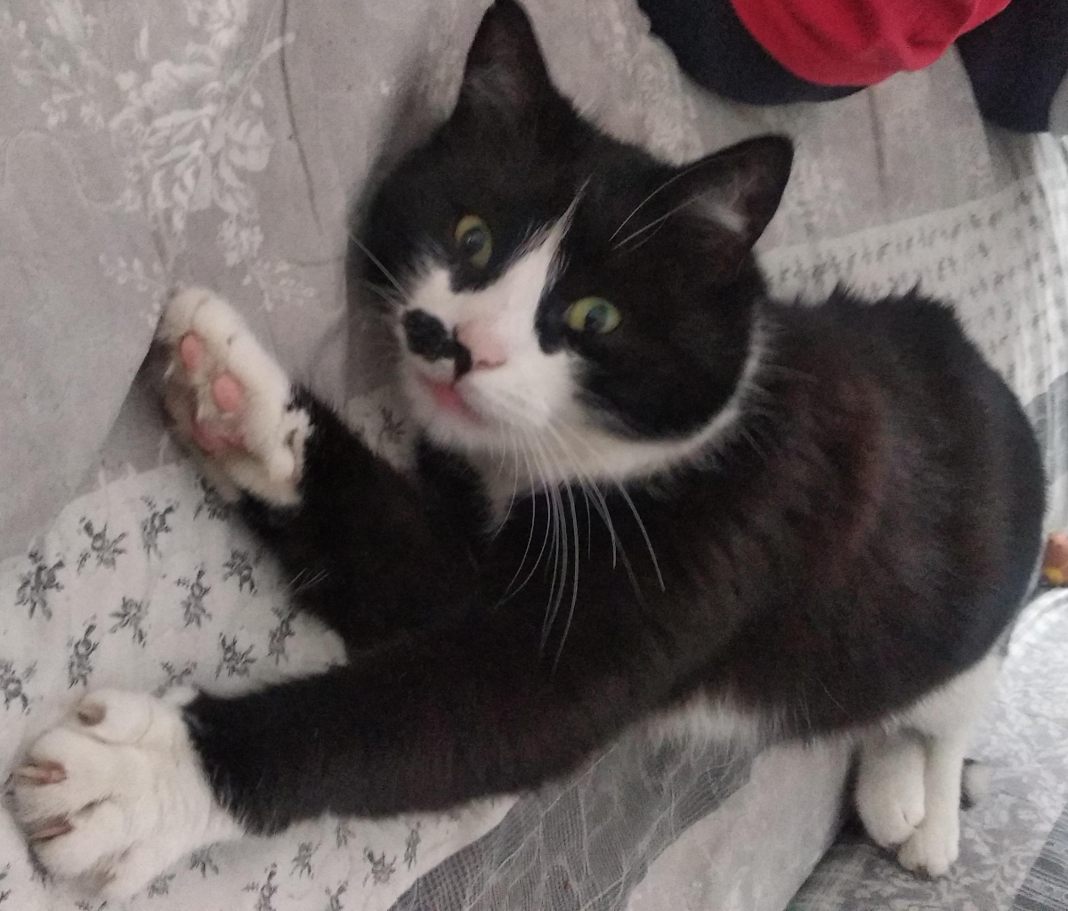 1ec9cebc-c43b-49cb-9c6b-eec6707f7da4