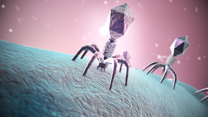 Naukowcy odkrywają nieznane dotąd umiejętności bakteriofagów