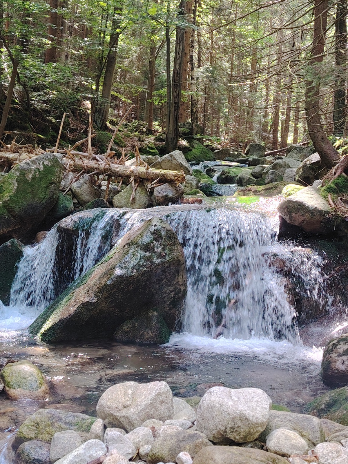 b8ddf301-4a15-4f3b-9457-a3bb70600365