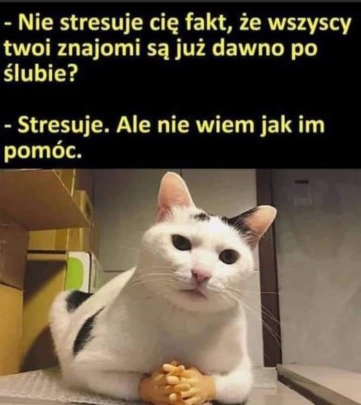 29badddf-39f2-438c-8a24-c39674e6437e