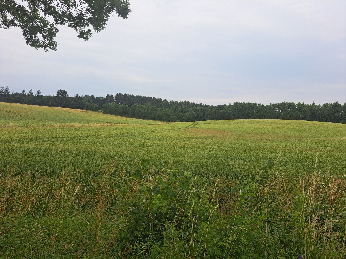 1f7dab71-037b-49fb-84ce-09bc6c79cc2b