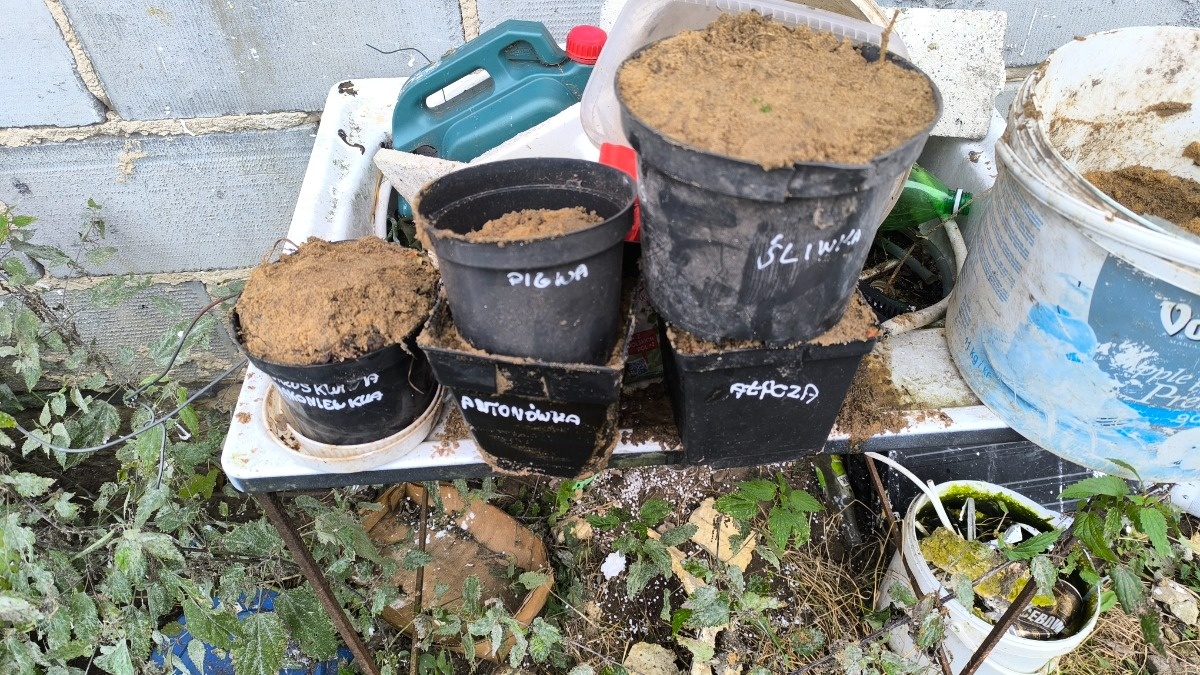 6b6fc56c-6faa-4768-af16-f906e7b08730