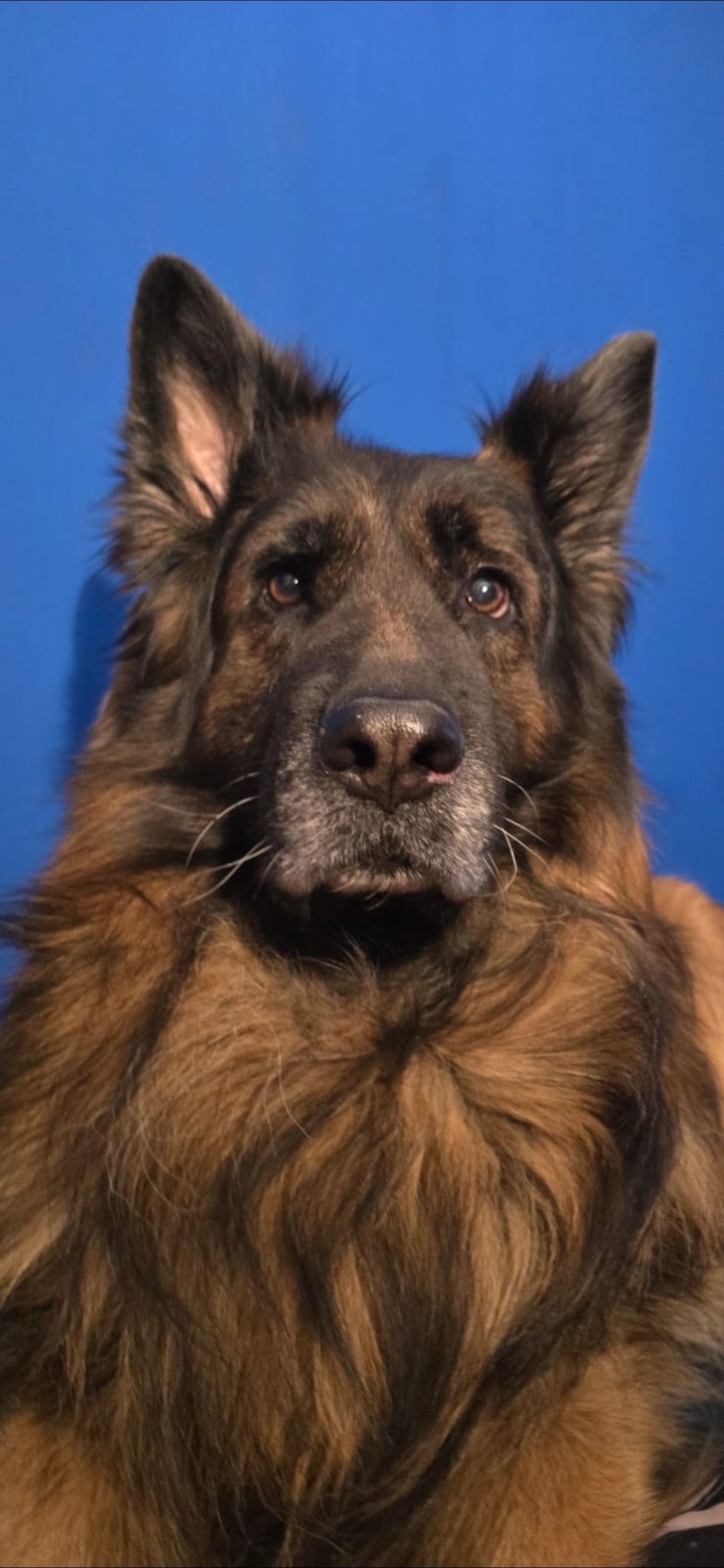 4f4f4bee-eeb2-417f-92dc-45dcbf0fed2b