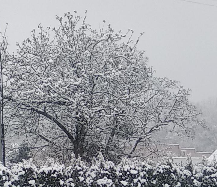 16825600-a1e5-417e-8d0b-894aeb81eb1a