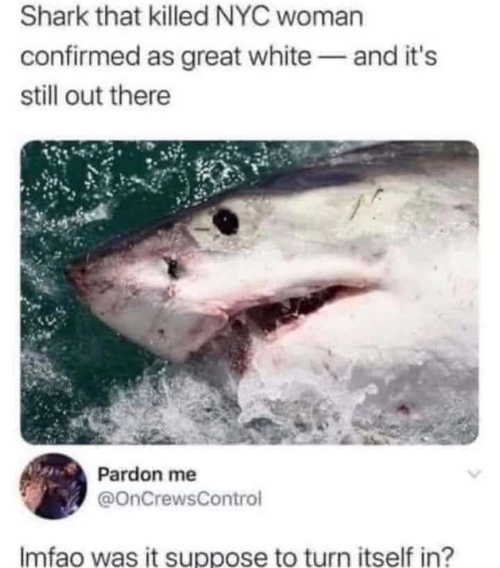 4cfc6d42-7bae-45c9-b133-1e48b4cfd359