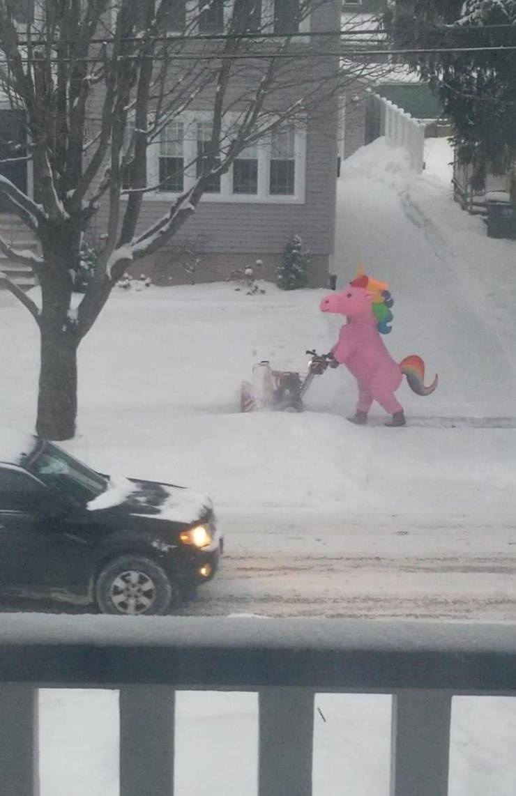 eddbdaa1-cc2f-4398-b70d-d607ee37e7c9