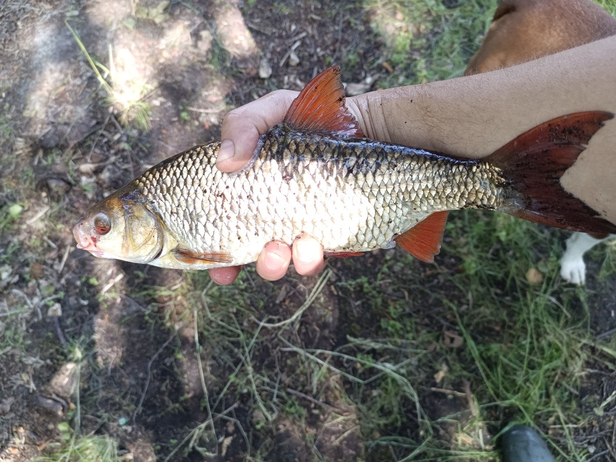 a38abdfe-e177-4f1c-8328-d6d5c0105e77