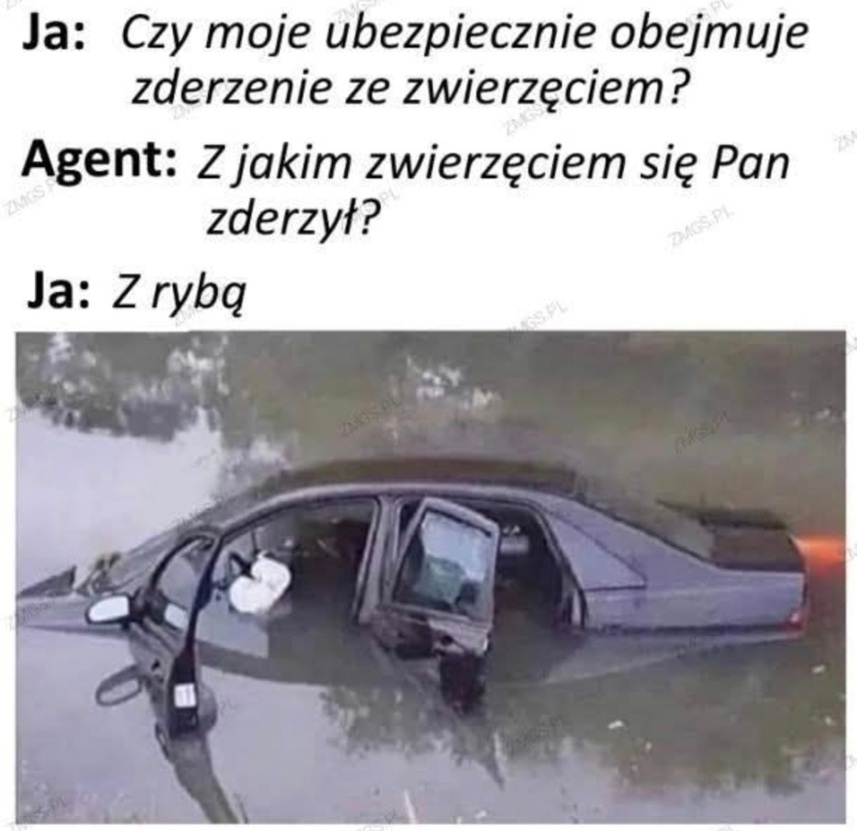 b46b2ebb-147a-435c-966a-6a4f08f1e3f3