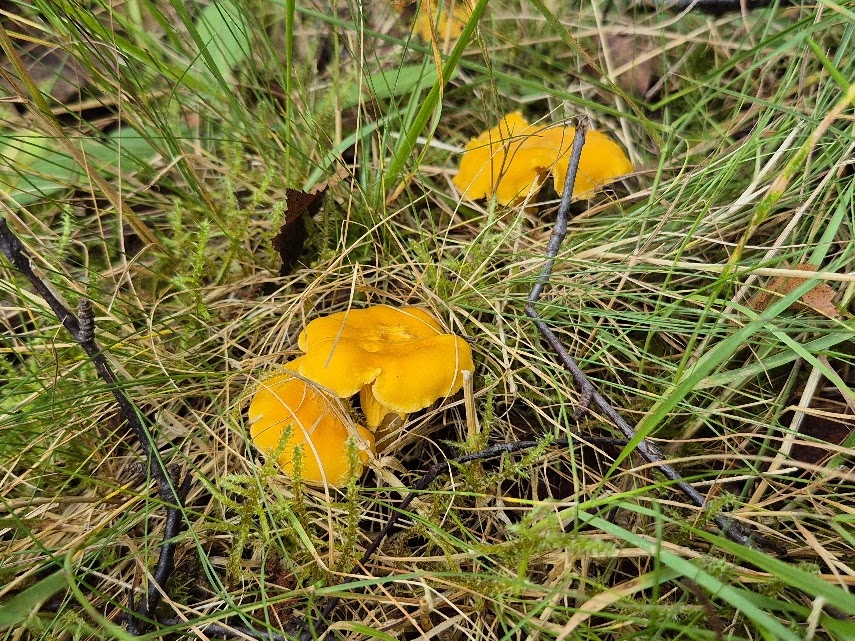 494b260a-3e3b-416d-b9d9-7076f2dbcb43