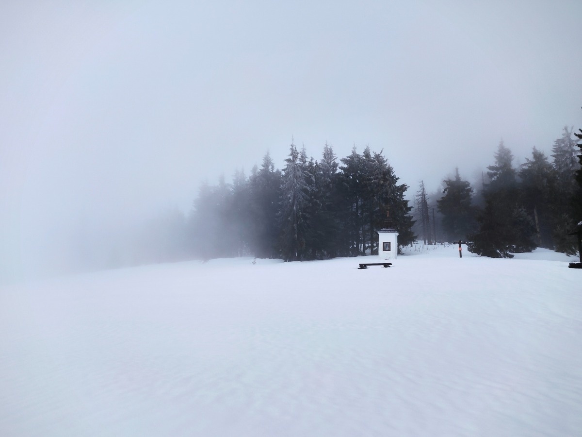 2c5cf44f-3f97-40d3-9cf2-5cbad2c9cec5