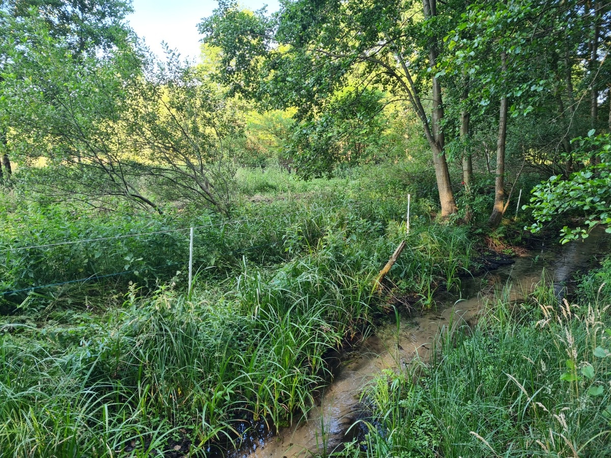 57d3dd40-2b44-4009-917d-ba4a5c366885