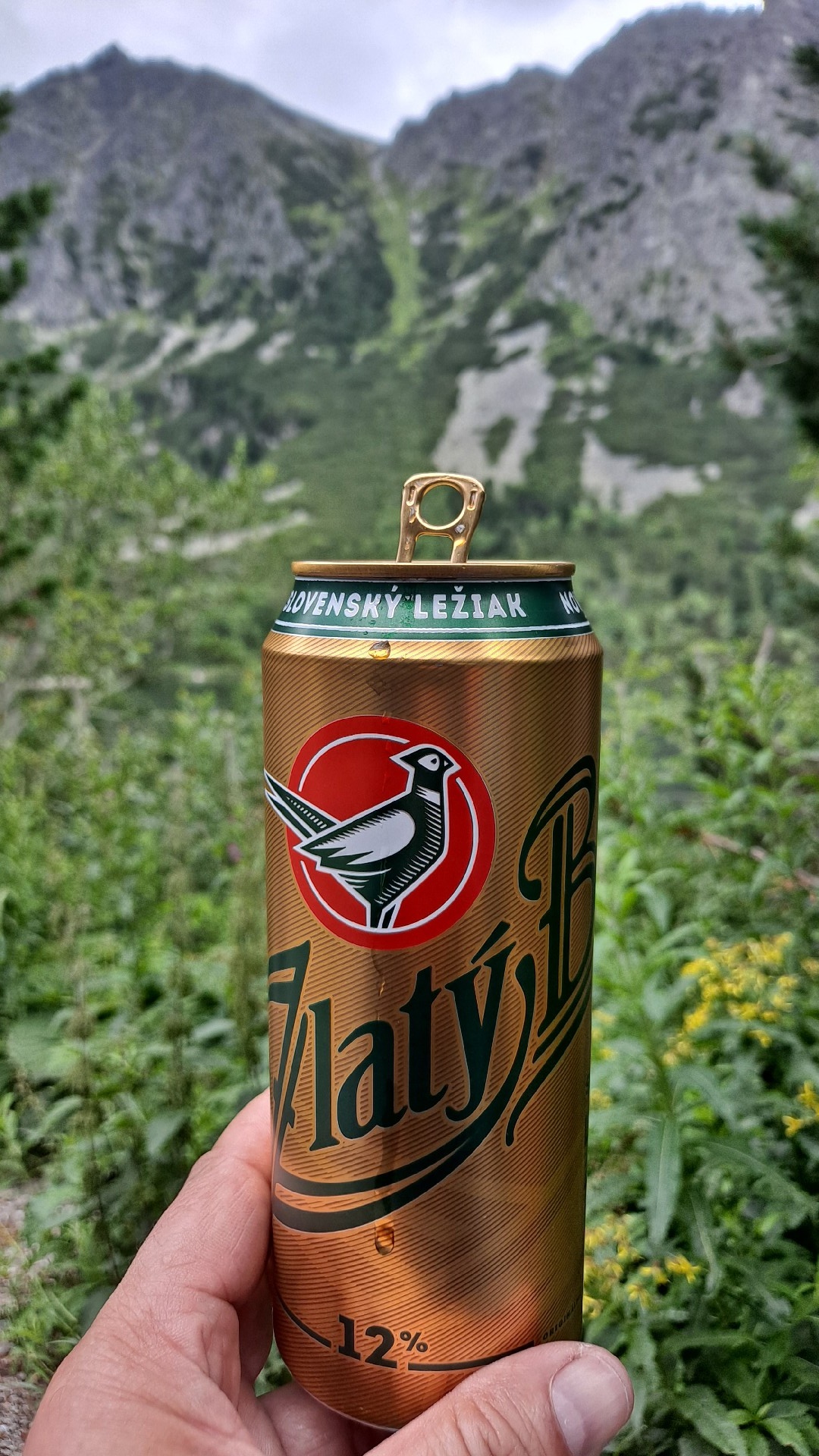 ffb2df3f-19c4-4948-baea-1f46186ea98c