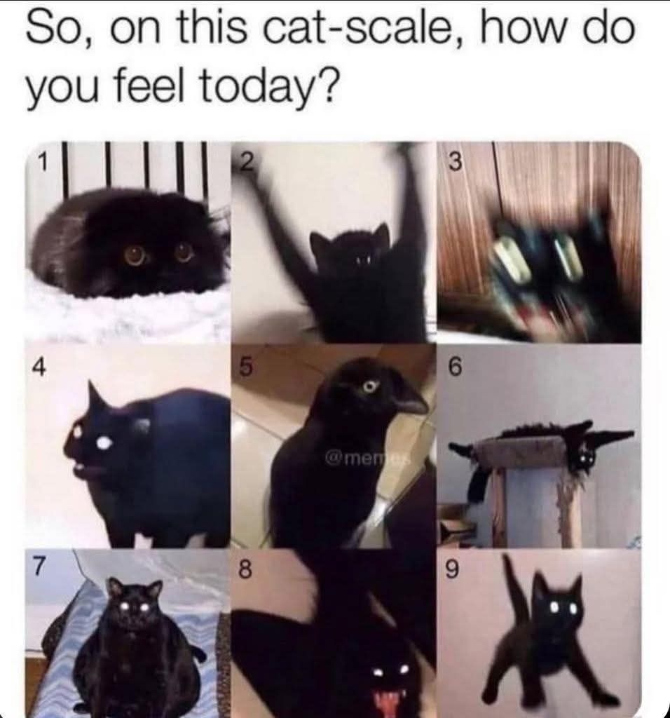 615bb943-478a-4daa-8e25-63aa99e6e20b