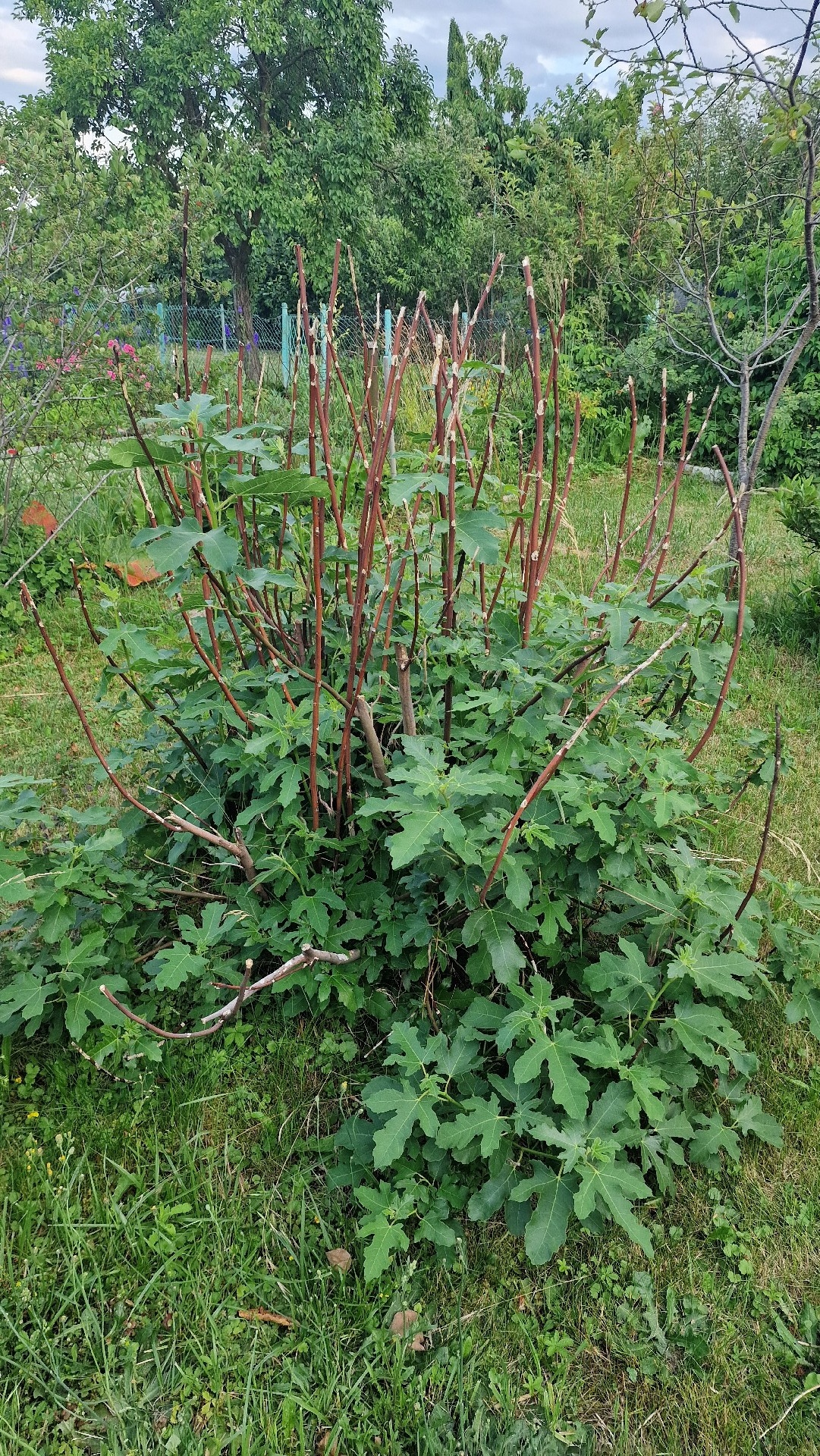 e58cc2dd-2459-45f7-bc2d-625cedaf426a