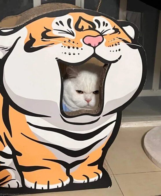 f298716d-55da-4b38-b65c-aa27cb497e32