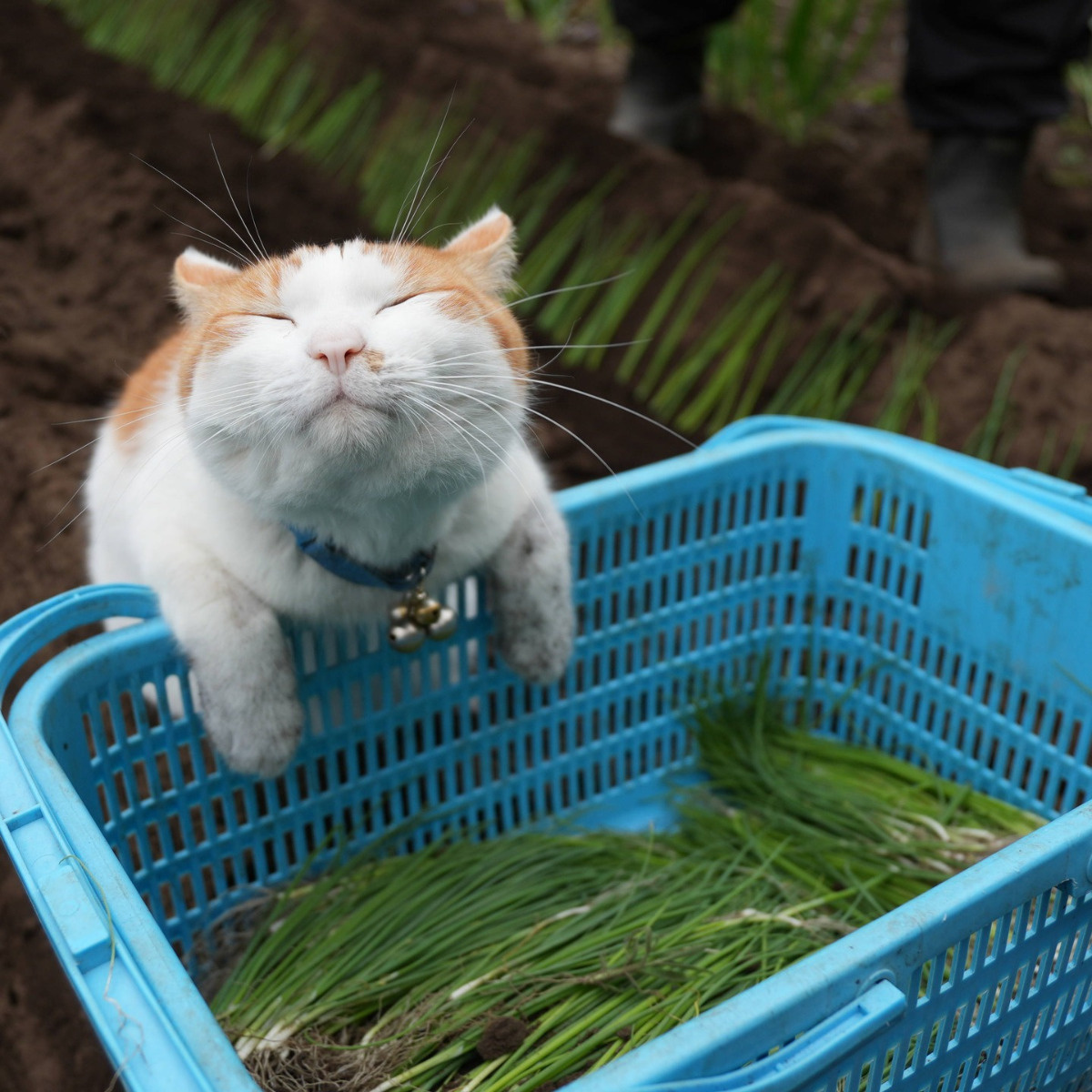 1d88c328-4864-4fa3-accd-882aa665f653