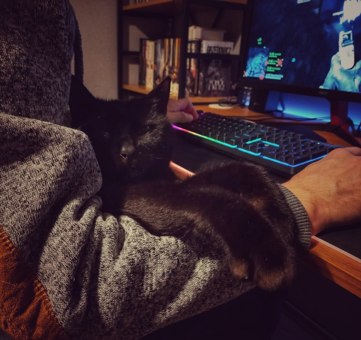 fa4213e7-84a4-438d-b148-1610bb90115c