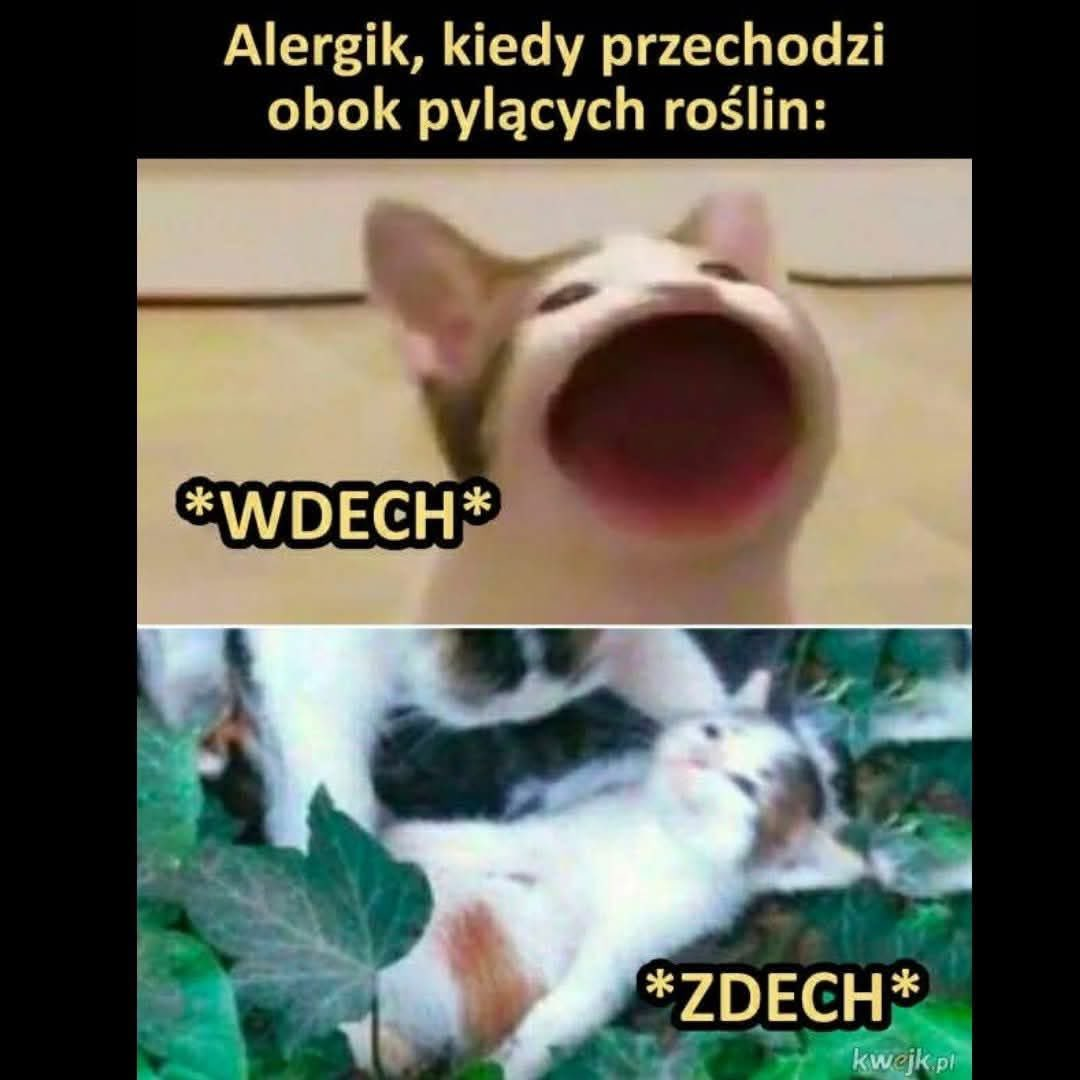 4b856d89-6cfd-43e8-b6c3-49314c370c3d