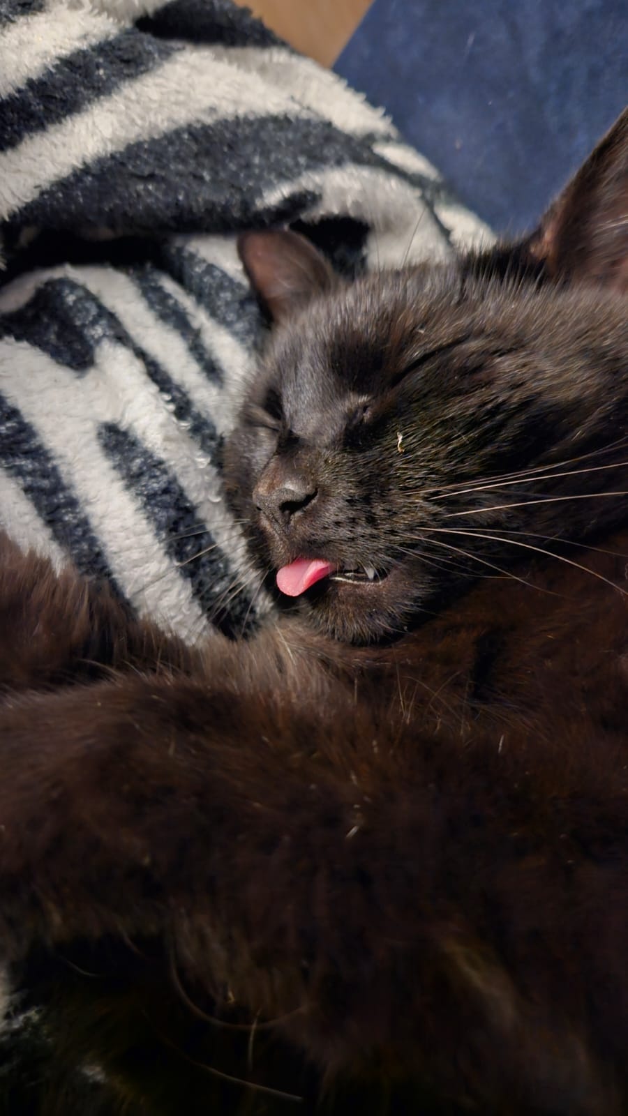 9643c454-36c1-4de8-91bb-42b8f0d922a5