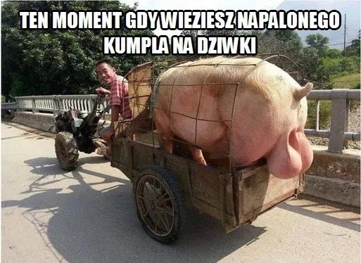 2f287a14-cfd6-474e-ac37-cf8d7bcc2569