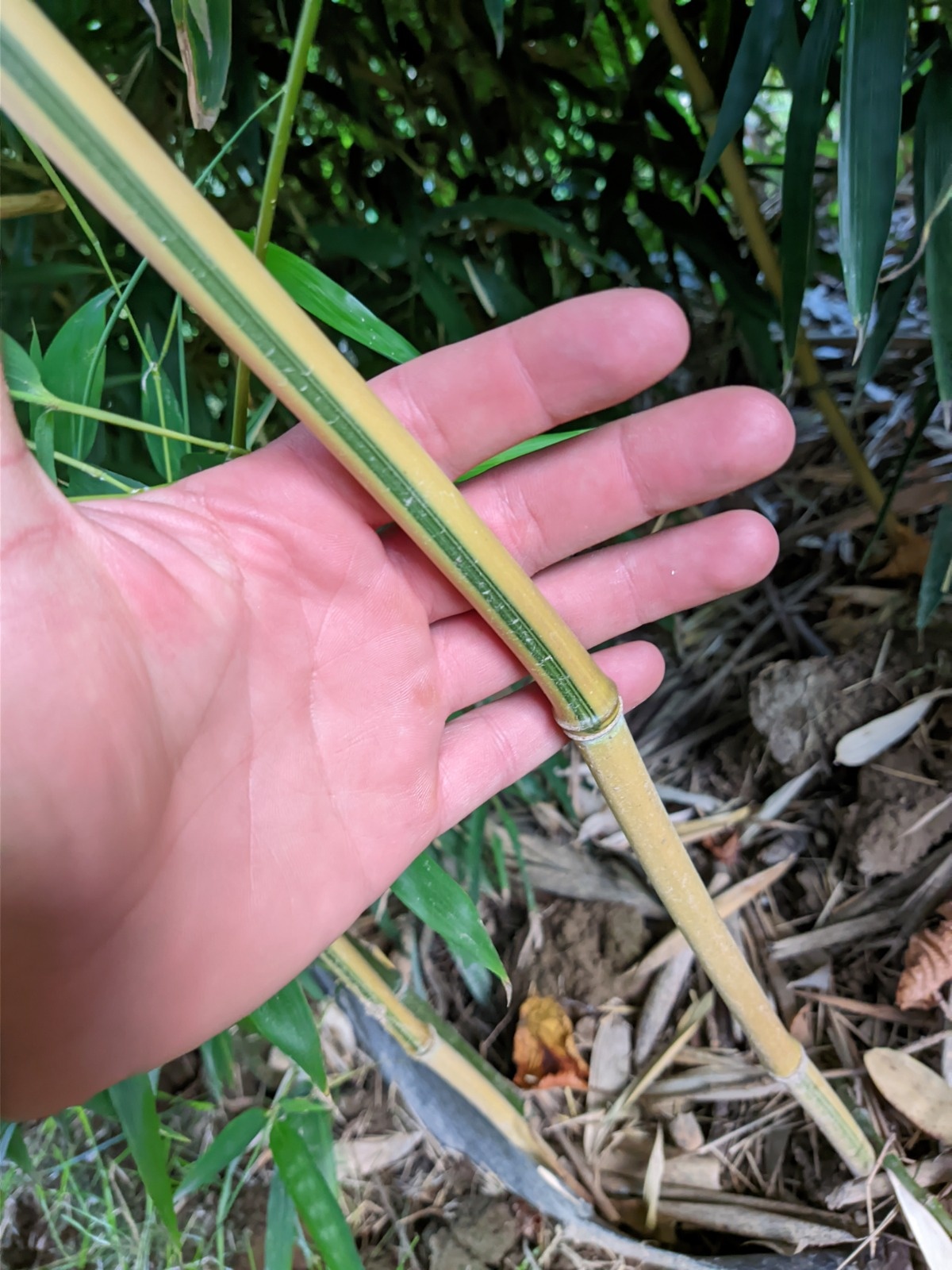 3cc8824d-a2c1-4662-837d-64ac6fffcd33