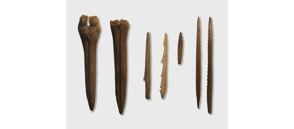 Pogodzenie kultur materialnych w archeologii z danymi genetycznymi wymaga solidnych taksonomii ewolucyjnych kultur