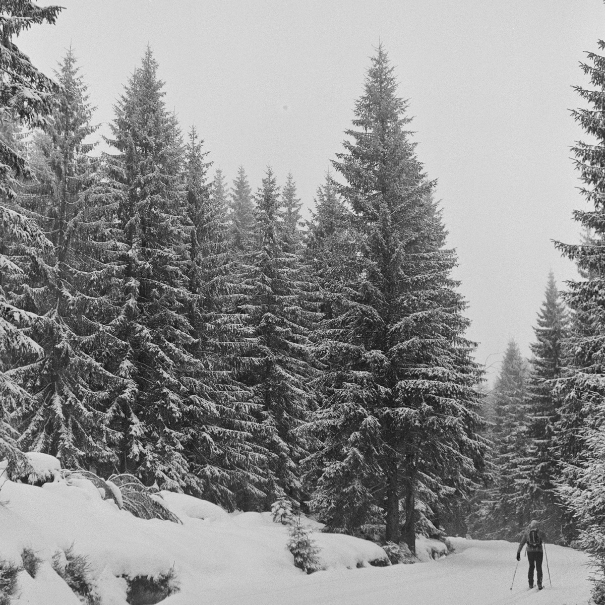 61a14c16-5297-43ec-9e74-9bb0839a4ff9