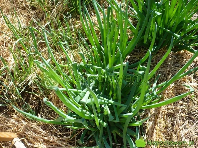 4f46ffe2-ea23-4118-8942-8a4730f5a594