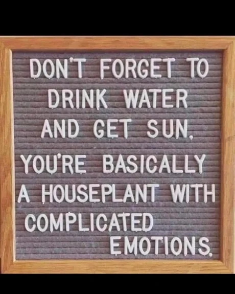 d84e5de0-4c14-4aef-b3ac-617bb3fb125f