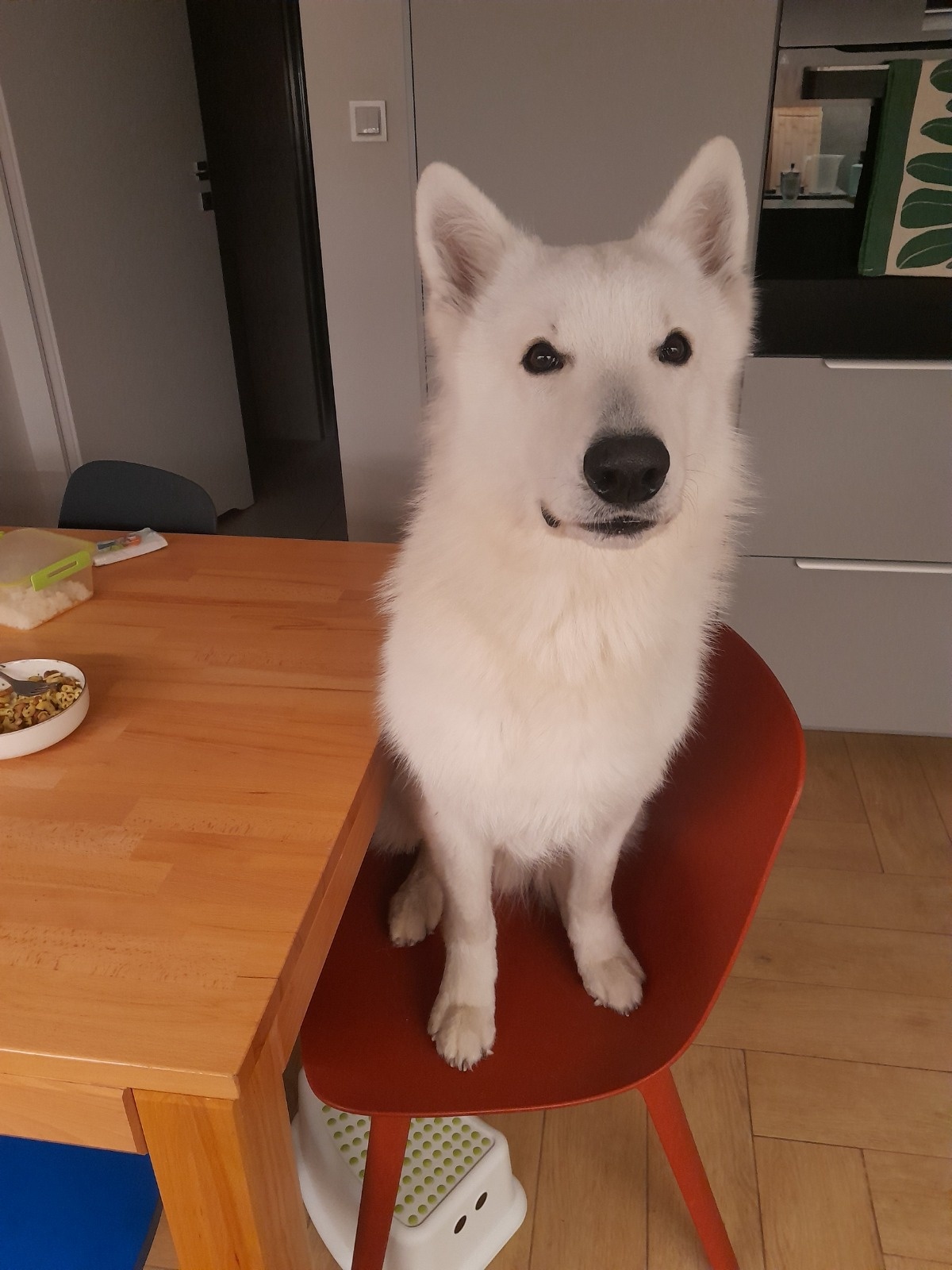 01deae02-d843-48b8-bac5-0c68d89dc43d