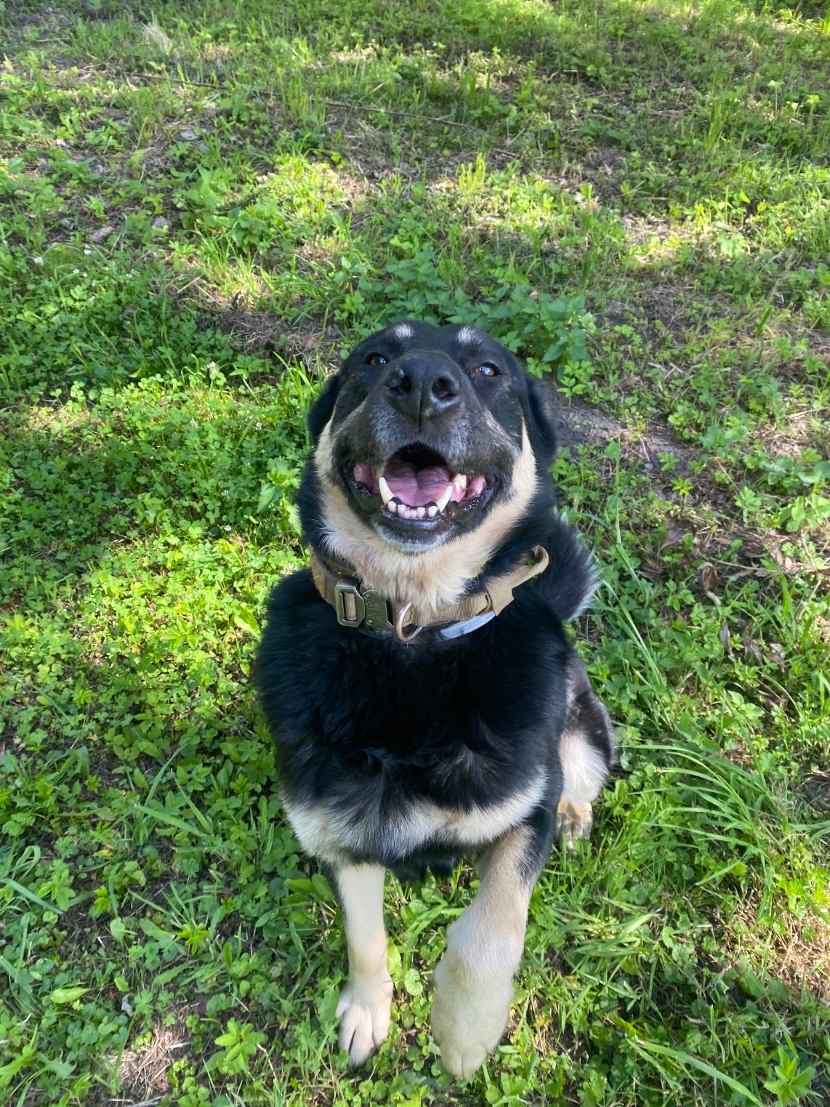 5d604119-1852-4403-8140-a4db6718f4de